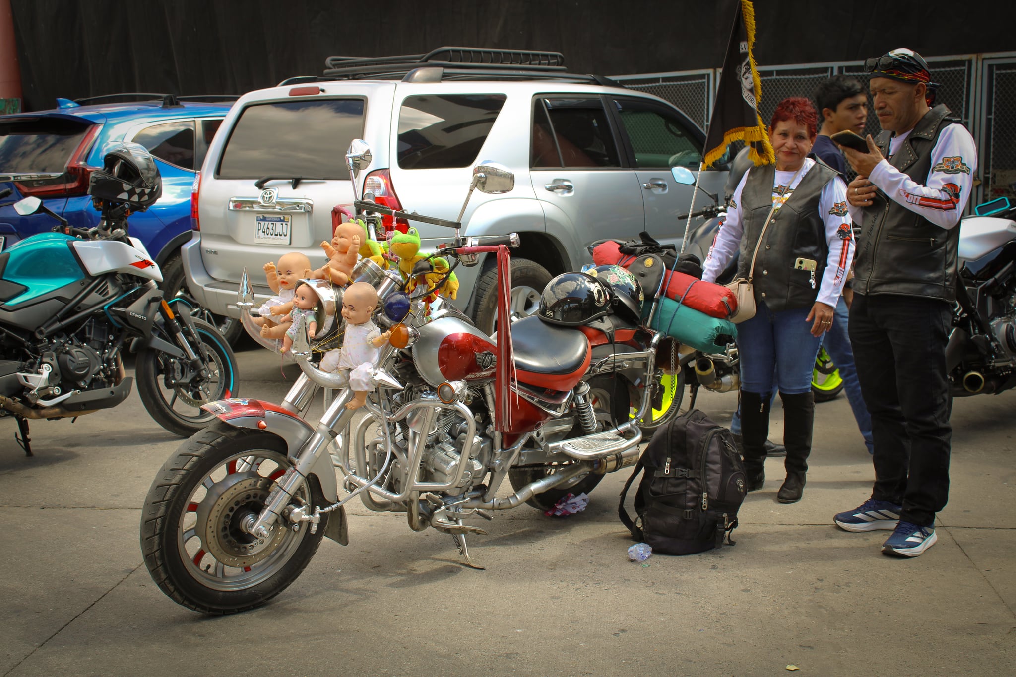 Caravana del Zorro 2026 #6
